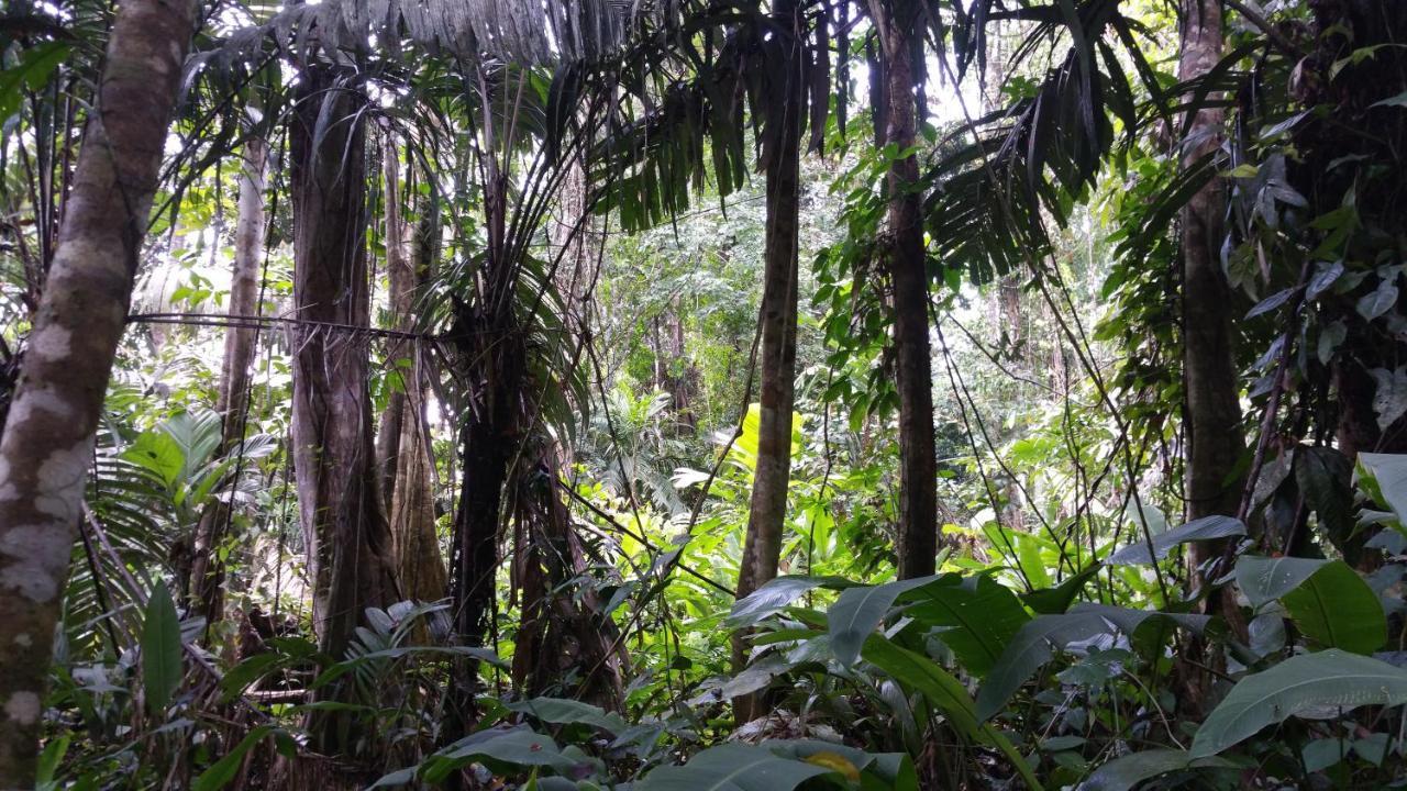 Panama Eco Resort Тьерра-Оскура Экстерьер фото
